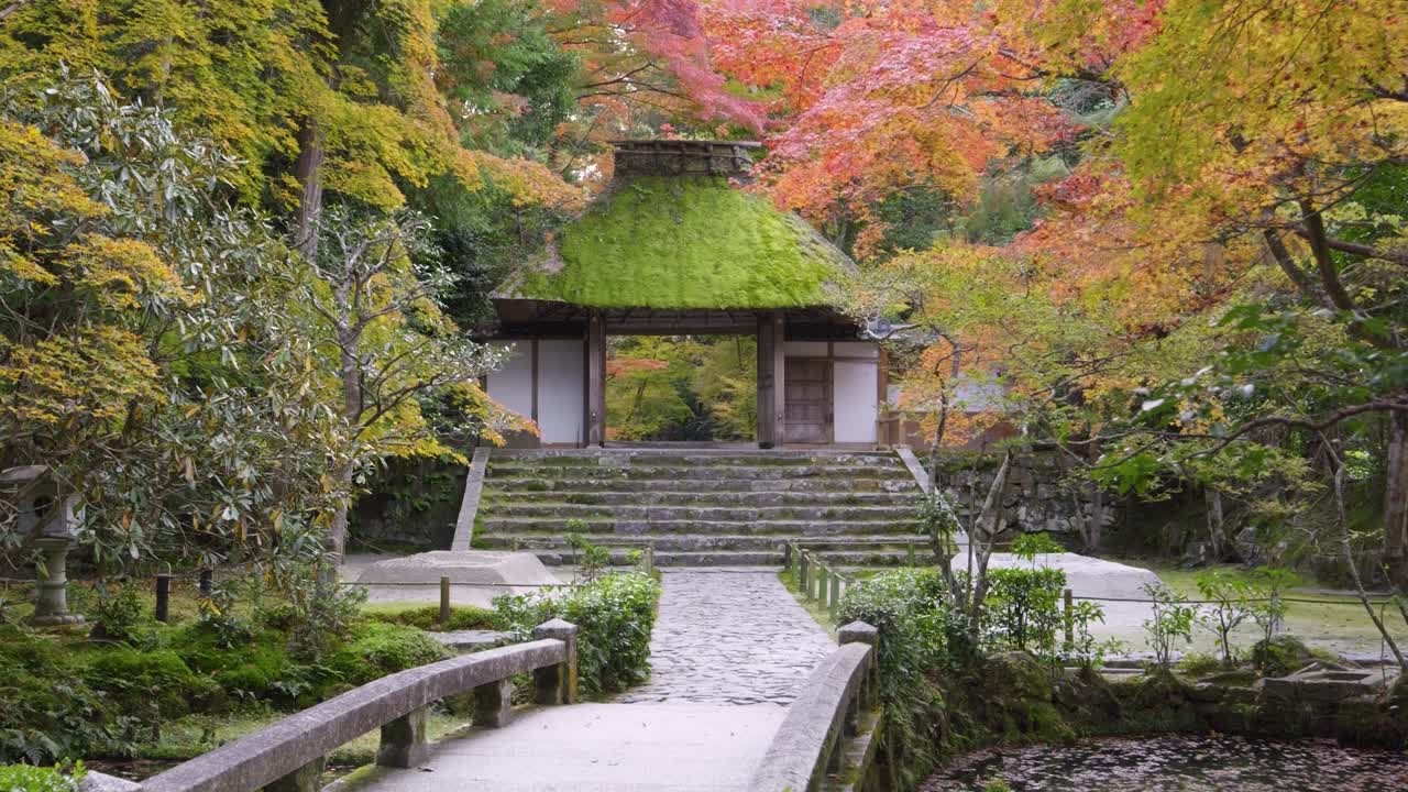 Stunning fall scenery at Hoenin Temple in Kyoto, Japan