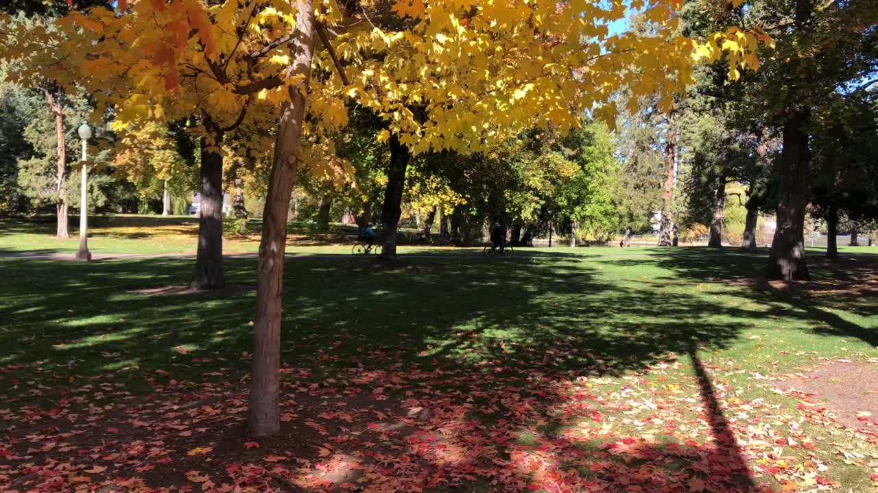 andar en bicicleta por un parque en otoño