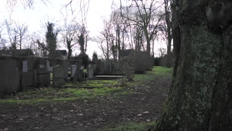 cemetery in winter