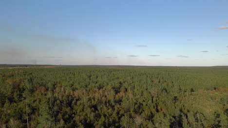 Flying over a forest and the sky is clear-2