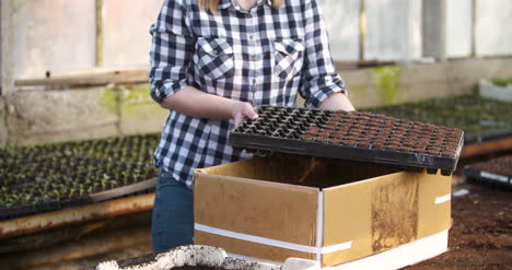 young female botanist examining potted plant 29