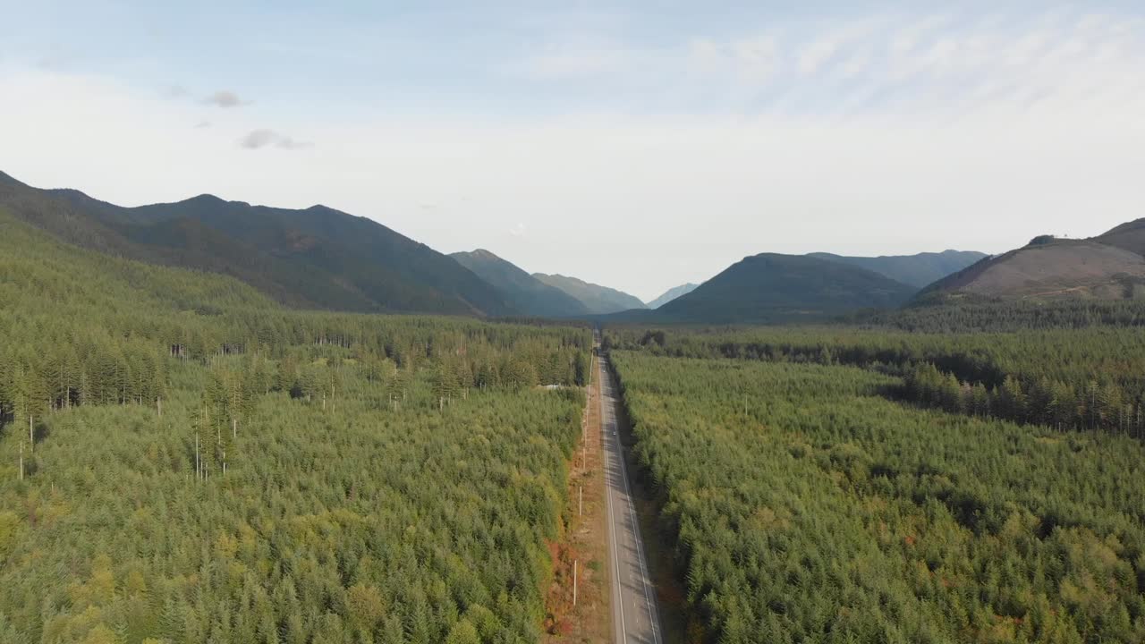vista aérea ascendente de un bosque manejado fuera del parque nacional olímpico, washington, estados unidos