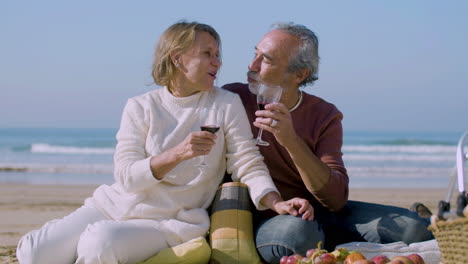 cheerful senior couple sitting on seashore and clinking glasses