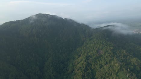 established drone shot of rainforest on the mountain range