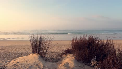 sandy beach unfolds its tranquil beauty, adorned with the gentle presence of grassy vegetation atop small coastal dunes