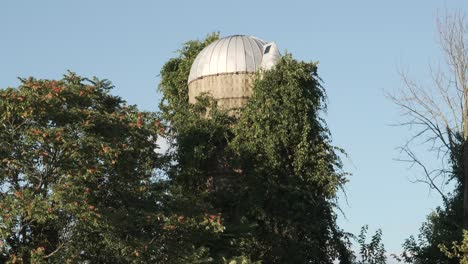 Antiguo-Silo-De-Grano-De-Granja-Cubierto-De-Follaje-Denso-En-Medford,-Nueva-Jersey