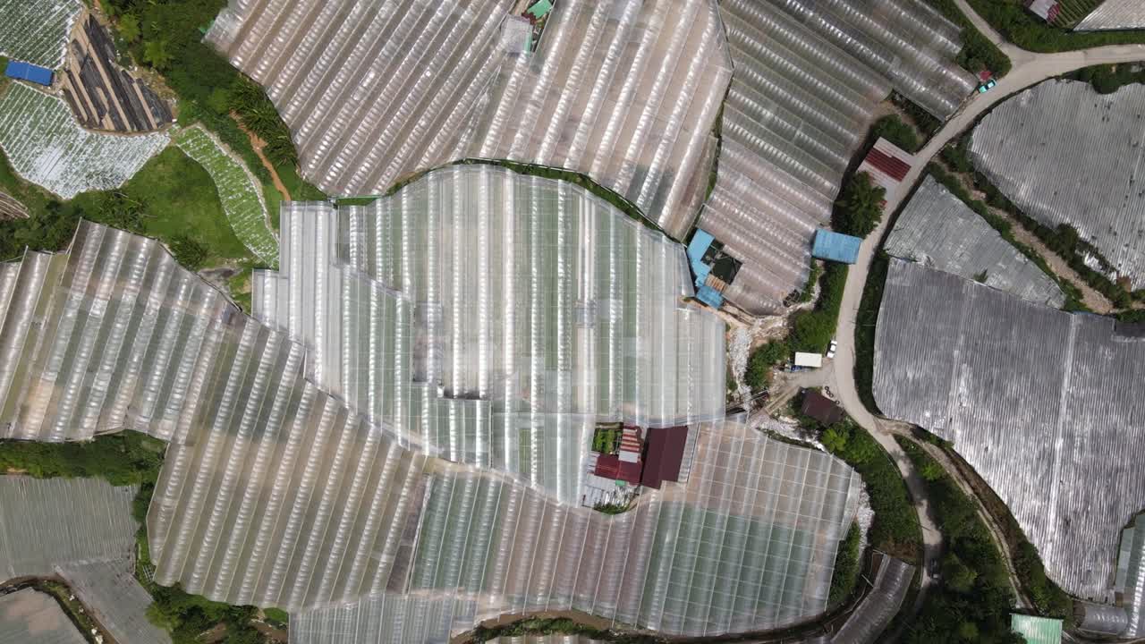 말레이시아의 카메론 하이랜드 지역 내의 브린창 지역의 일반 풍경