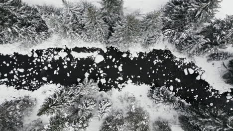 imágenes aéreas de drones del río negro rodeado de pinos cubiertos de nieve en las montañas rocosas cerca de vail colorado usa