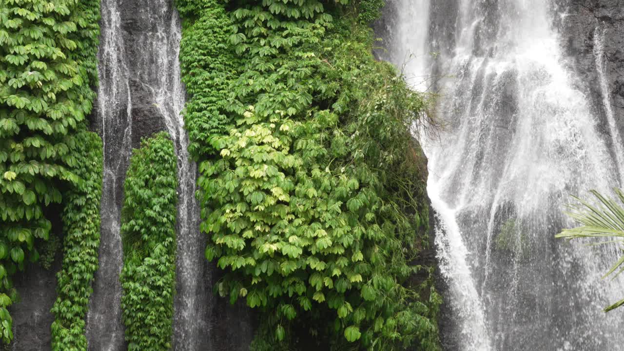 Banyumala Twin Waterfall nature water cascade jungle up-close Bali island