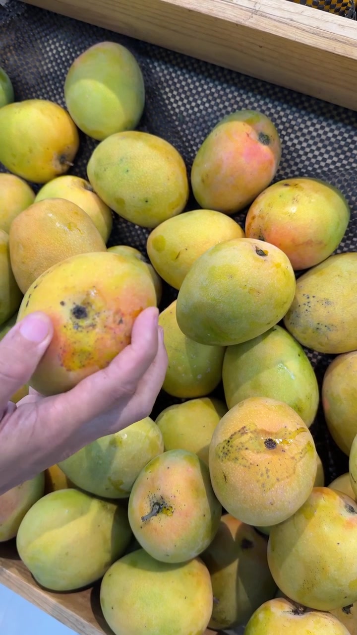 Ręka wybierająca świeże, dojrzałe mango w sklepie spożywczym