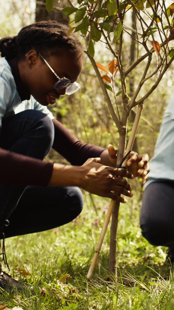 Young Woman Planting a Tree with a Volunteer Group