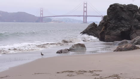 Thinking-Escape-Spot,-Golden-Gate-Bridge,-Waves-Roll-Onto-Shore-at-Beach,-Foggy-SF-Day