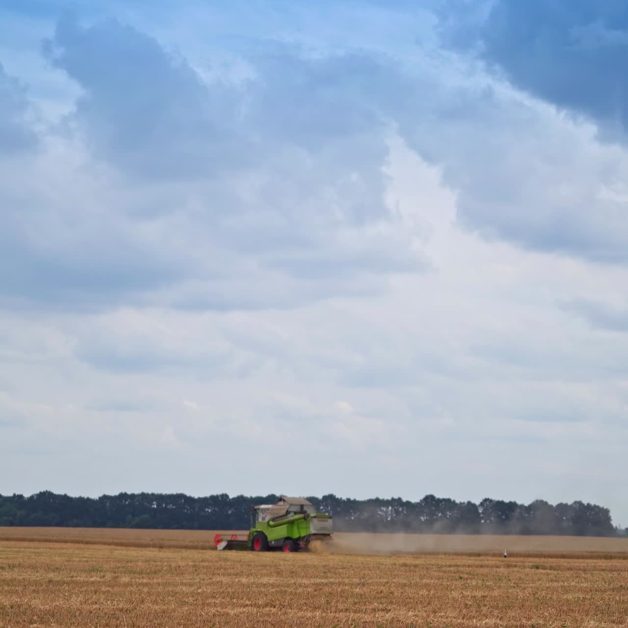 Green harvester working in the field. Blue cloudy sky over the ripe farmlands. Green trees plantings at the background