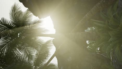 vertical shot of tropical cave at sunset