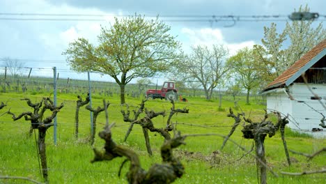 Ackerland-Mit-Weingarten-Im-Ländlichen-Dorf-In-Niederösterreich