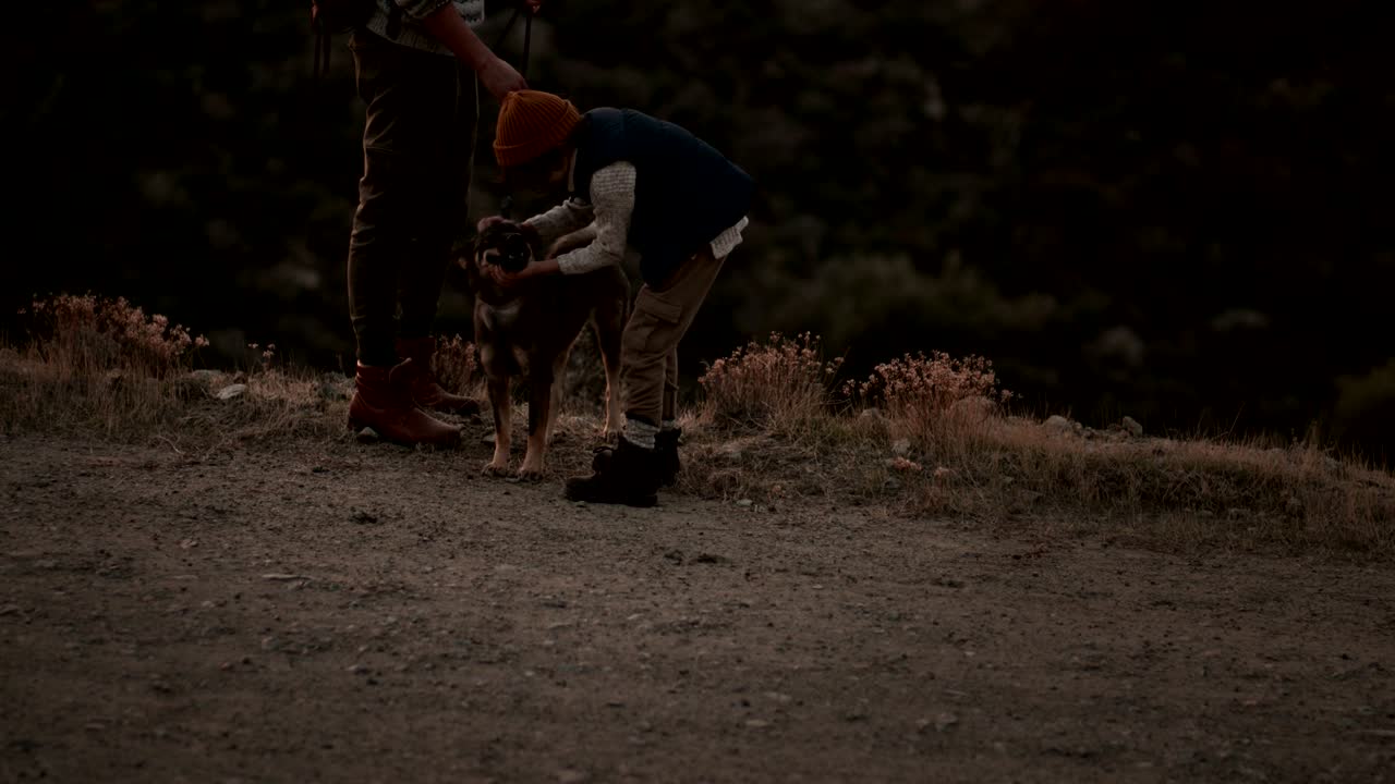 어린 아버지 와 아들 산책자 들 이 산 에서 개 를 만지고 있다
