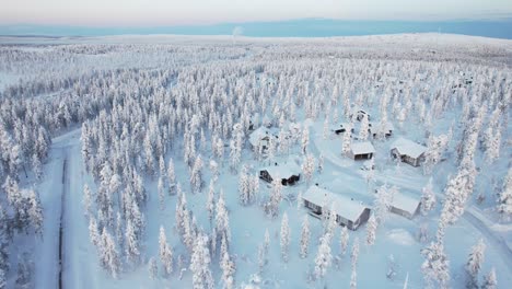 drone aerial above snow-covered trees in lapland, finland, arctic circle