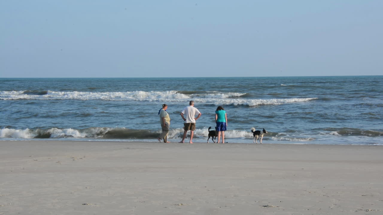 해변에 서있는 사람들