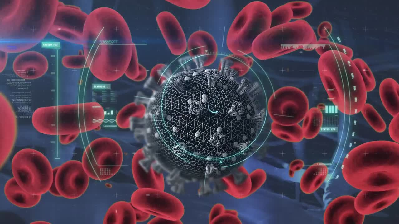 animación de células de covid-19 y glóbulos rojos flotando con escaneo de alcance