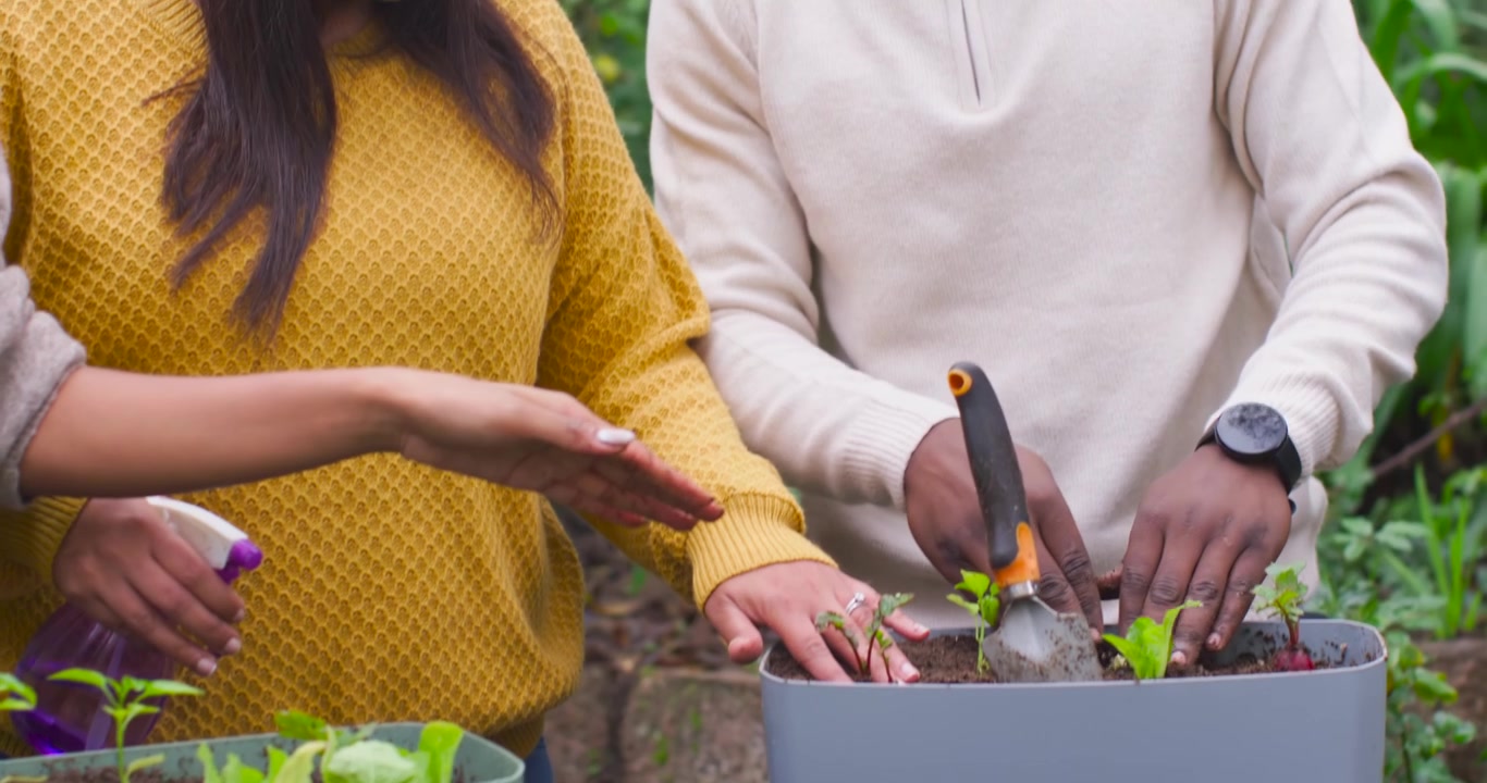 African American couple inspecting seedlings, planting them in garden planter using trowel
