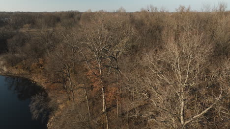 Lake-flint-creek-with-barren-trees-in-winter,-lake-swepco,-arkansas,-usa,-calm-water,-aerial-view