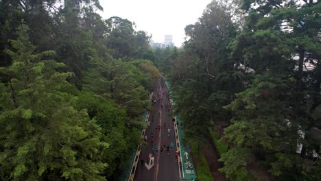 Toma-Aérea-De-Los-Corredores-De-La-Maratón-De-La-Ciudad-De-México-Mientras-Pasan-Por-El-Bosque-De-Chapultepec-Durante-El-Amanecer