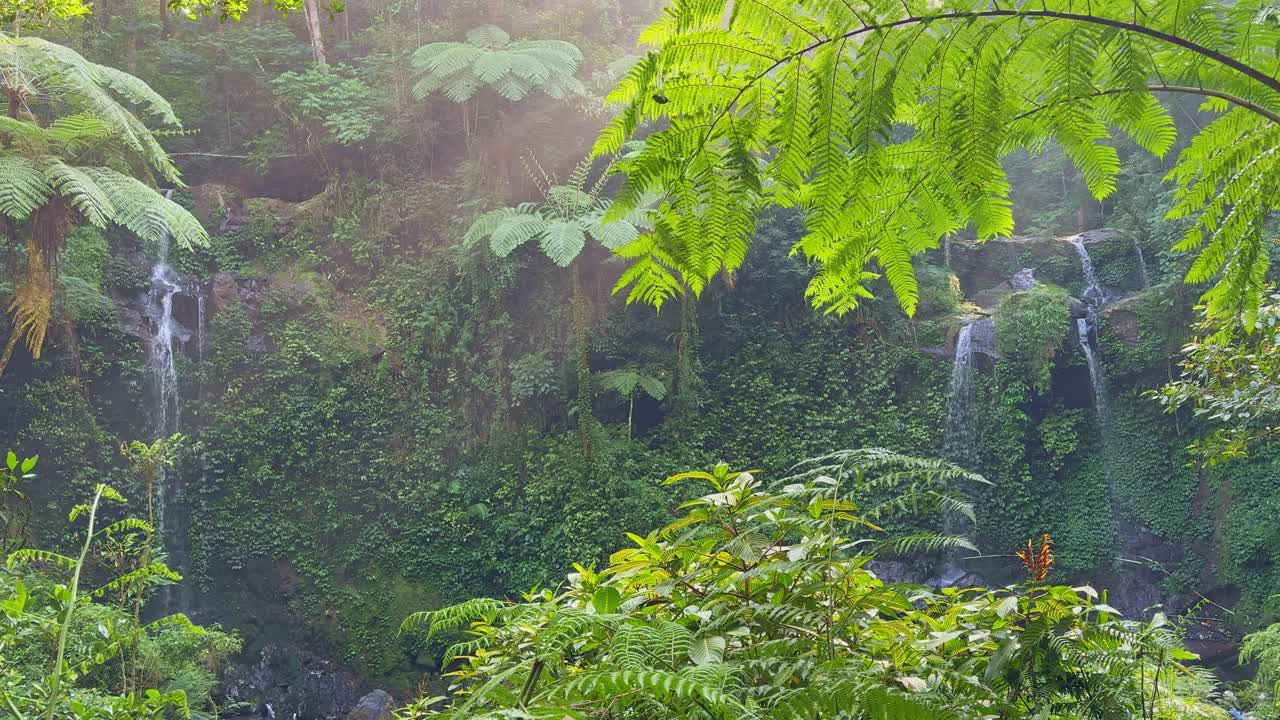 Beautiful waterfall flowing in the middle of dense jungle with morning sunlight creating a magical atmosphere
