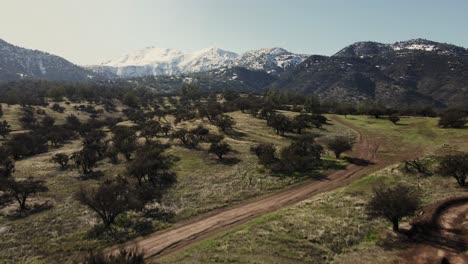 Tracking-shot-of-a-moutain-biker-in-a-bike-park,-uhd-4k-aerial