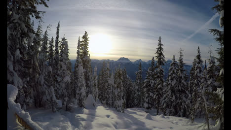 Pine-trees-on-a-snowy-landscape-4k