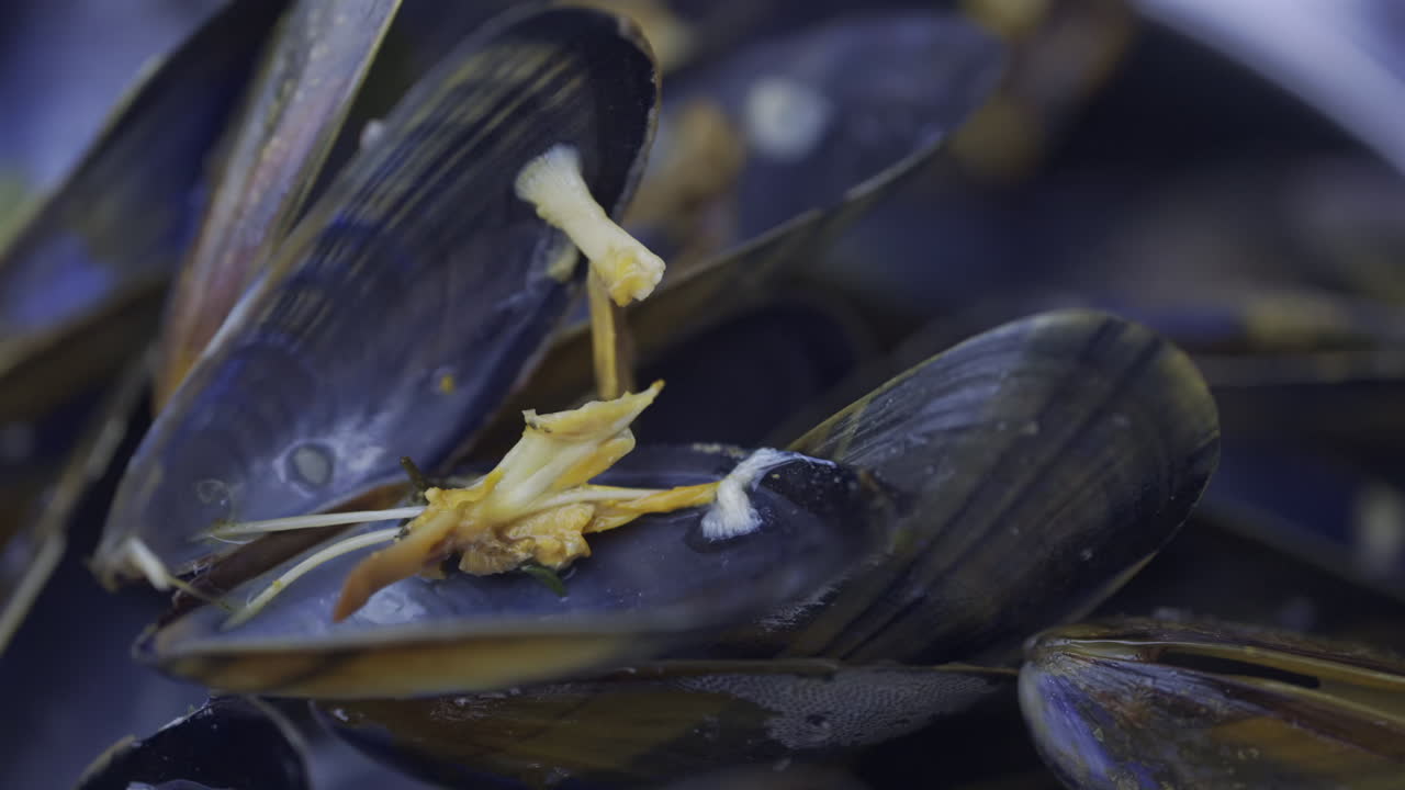 Close up of multiple steamy mussels in a pot with green onions on top