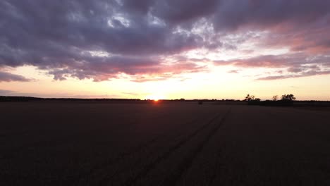 "drone flight over fields at sunset, revealing crops, grain, and a vibrant evening sky