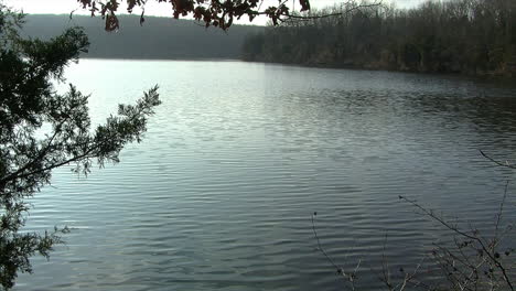 a lake with a wooded shoreline and gentle waves