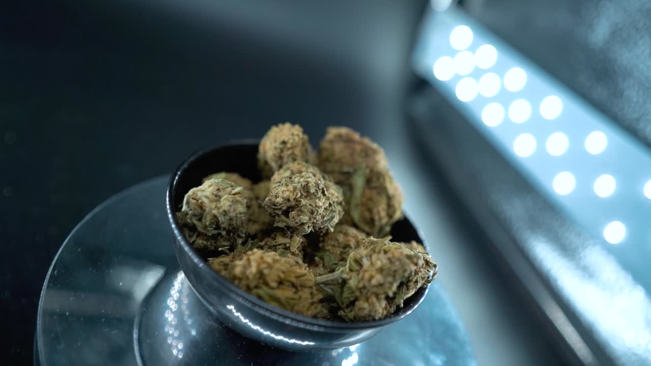 un zoom macro cinematográfico detallado movimiento suave de la grúa toma de una planta de cannabis, cepas híbridas de naranja, tipo indica, flor de marihuana, cámara lenta 120 fps, luces de estudio, soporte giratorio brillante