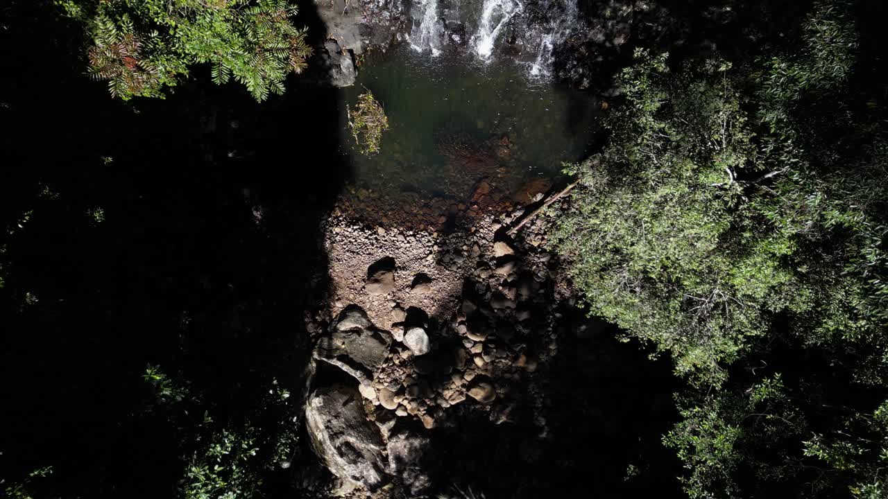 revelación de un aislado agujero natural para nadar y una cascada escondida en lo profundo entre los densos árboles de la selva tropical
