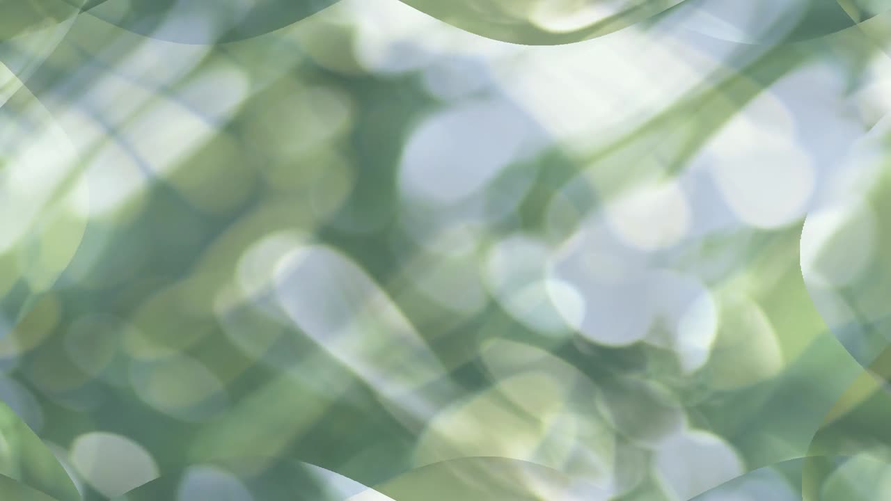 추상 녹색 배경 모양과 조명 이동