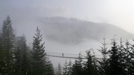 Weibliche-Wanderer-Zu-Fuß-Entlang-Der-Hängebrücke-Zwischen-Baumwipfeln-Am-Nebeltag