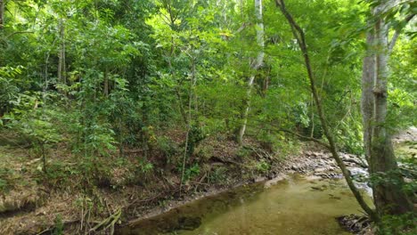 Selva-Amazónica-Con-Río-Que-Fluye-Cerca-De-Santa-Marta,-Magdalena,-Colombia