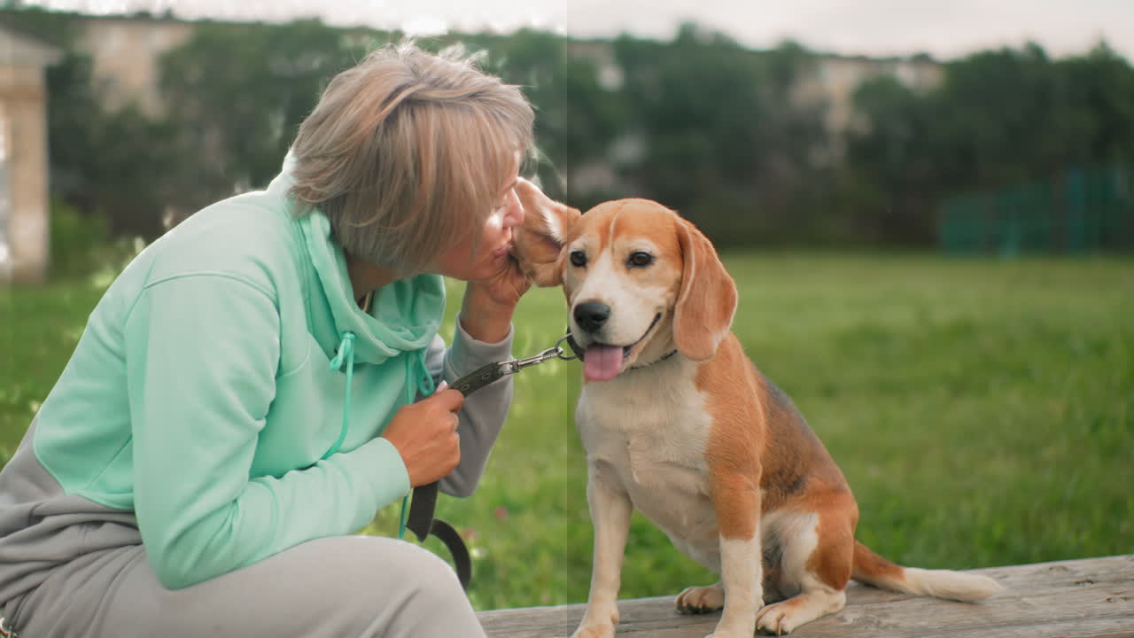 Female dog trainer speaks words of encouragement into ear of her beagle, showing a moment of close interaction, as she engages with her dog in training with a calm demeanor in an outdoor setting
