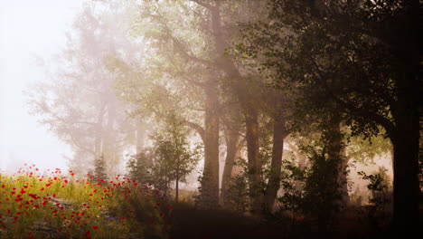 Magic-dark-summer-forest-scenery-with-rays-of-warm-light