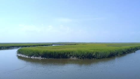 river flowing peacefully in florida, day, pan tilt up