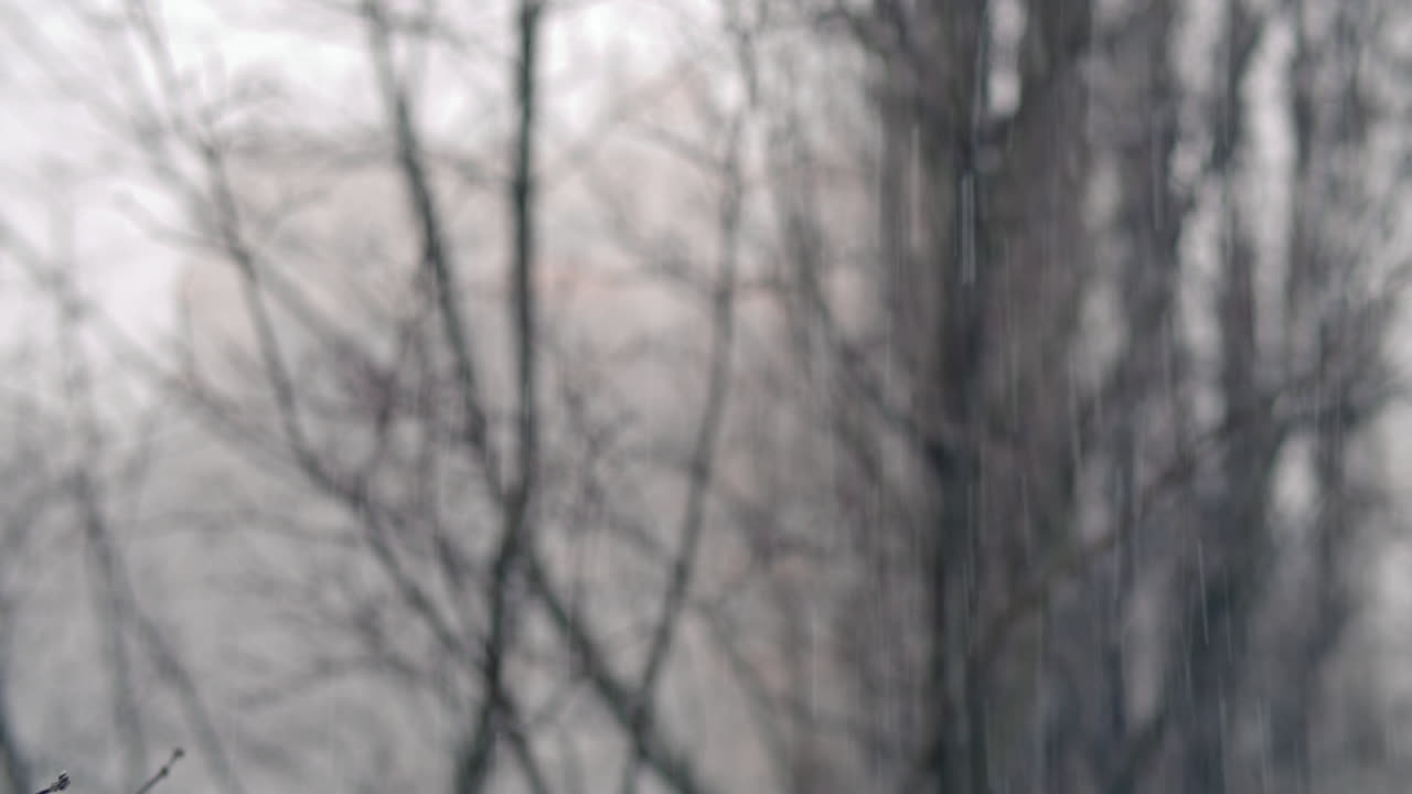 Winter day Background