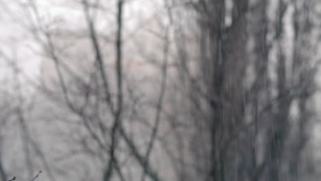fondo del día de invierno