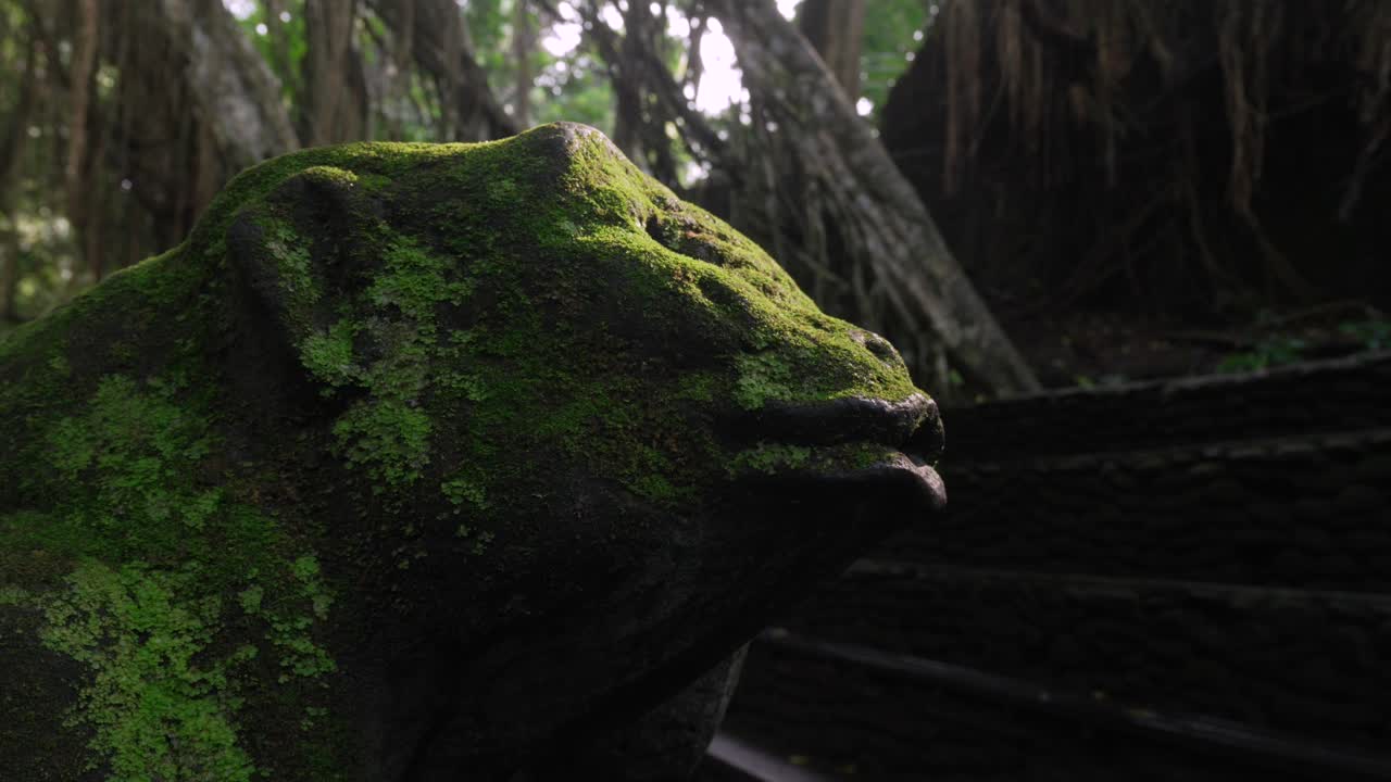 Stone statue wildlife covered in moss old Bali Monkey forest Ubud Indonesia