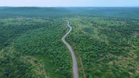 Vista-Aérea-De-Drones-De-Un-Camino-Forestal-A-Través-De-Una-Exuberante-Jungla-Verde-Con-Un-Telón-De-Fondo-Montañoso-En-Gwalior-Madhya-Pradesh-India