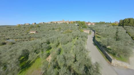 Carretilla-Aérea-Hacia-Adelante-Sobre-Los-Olivos-Y-Viñedos-En-Toscana,-Italia