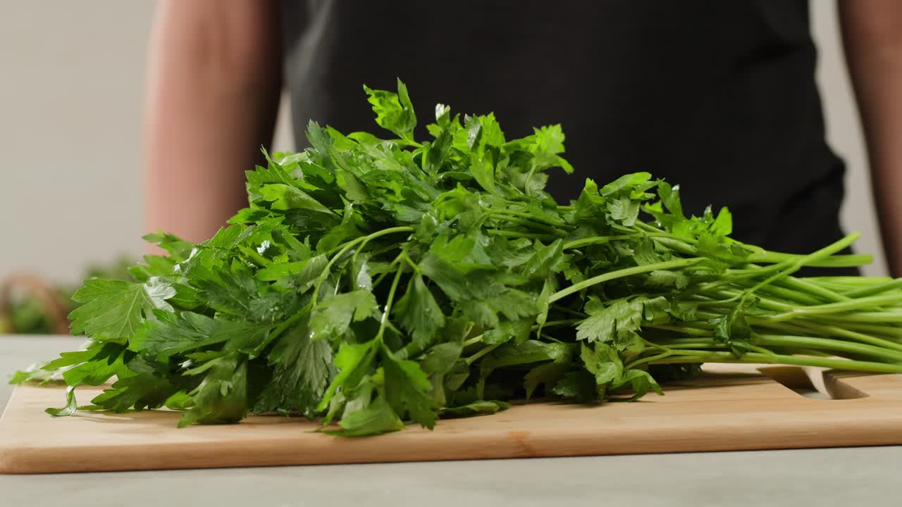 Cilantro parsley cutting by knife close up, chef chop cut coriander aromatic, traditional asian and Mexican cuisine herb studio shot. High quality 4k footage
