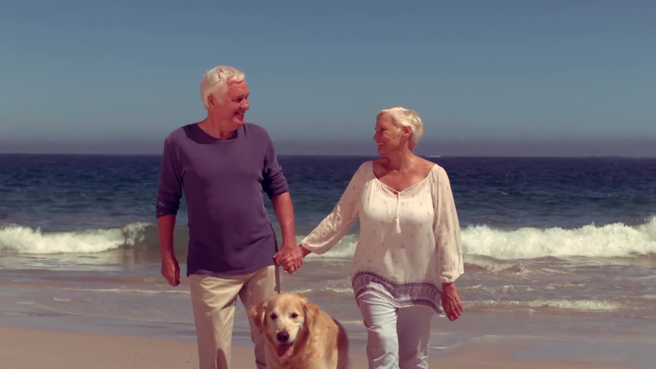 Happy old couple with dog smiling