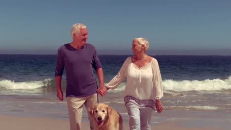 Happy-old-couple-with-dog-smiling