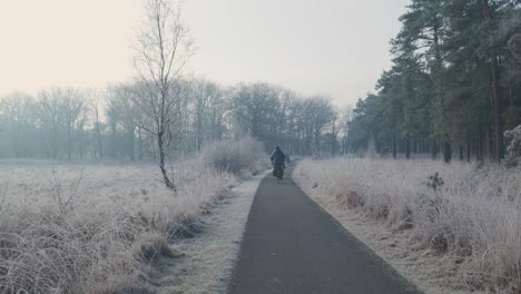 frozen winter forest path with cyclist