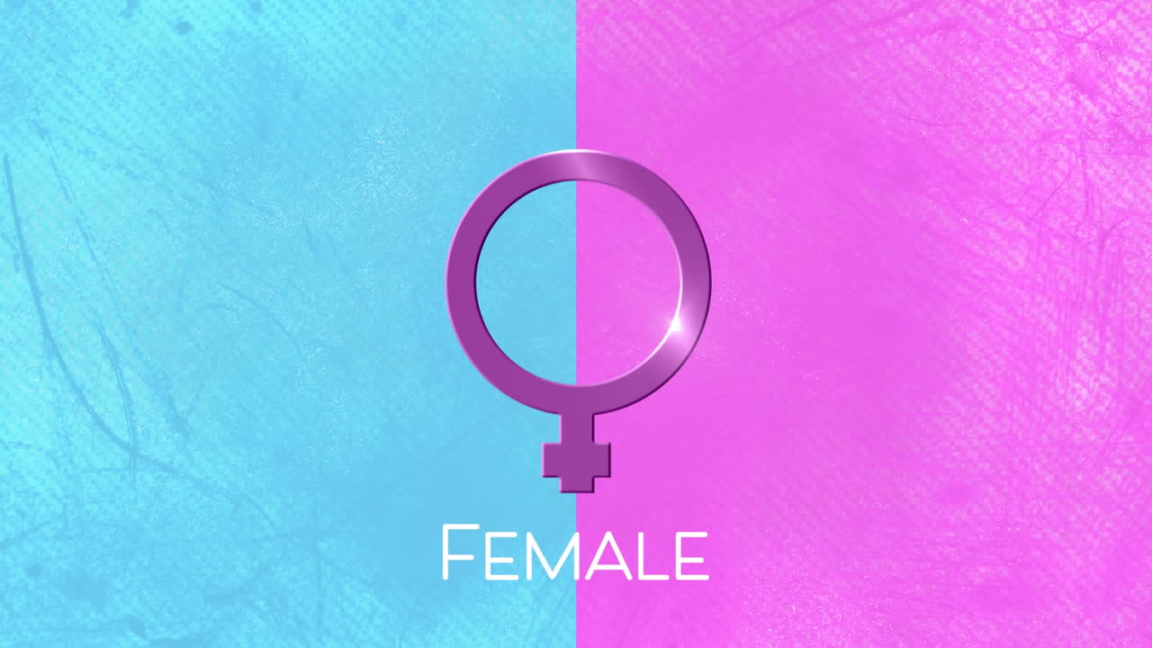 animación de textos femeninos y símbolos de género femenino púrpura, sobre fondo azul y rosa